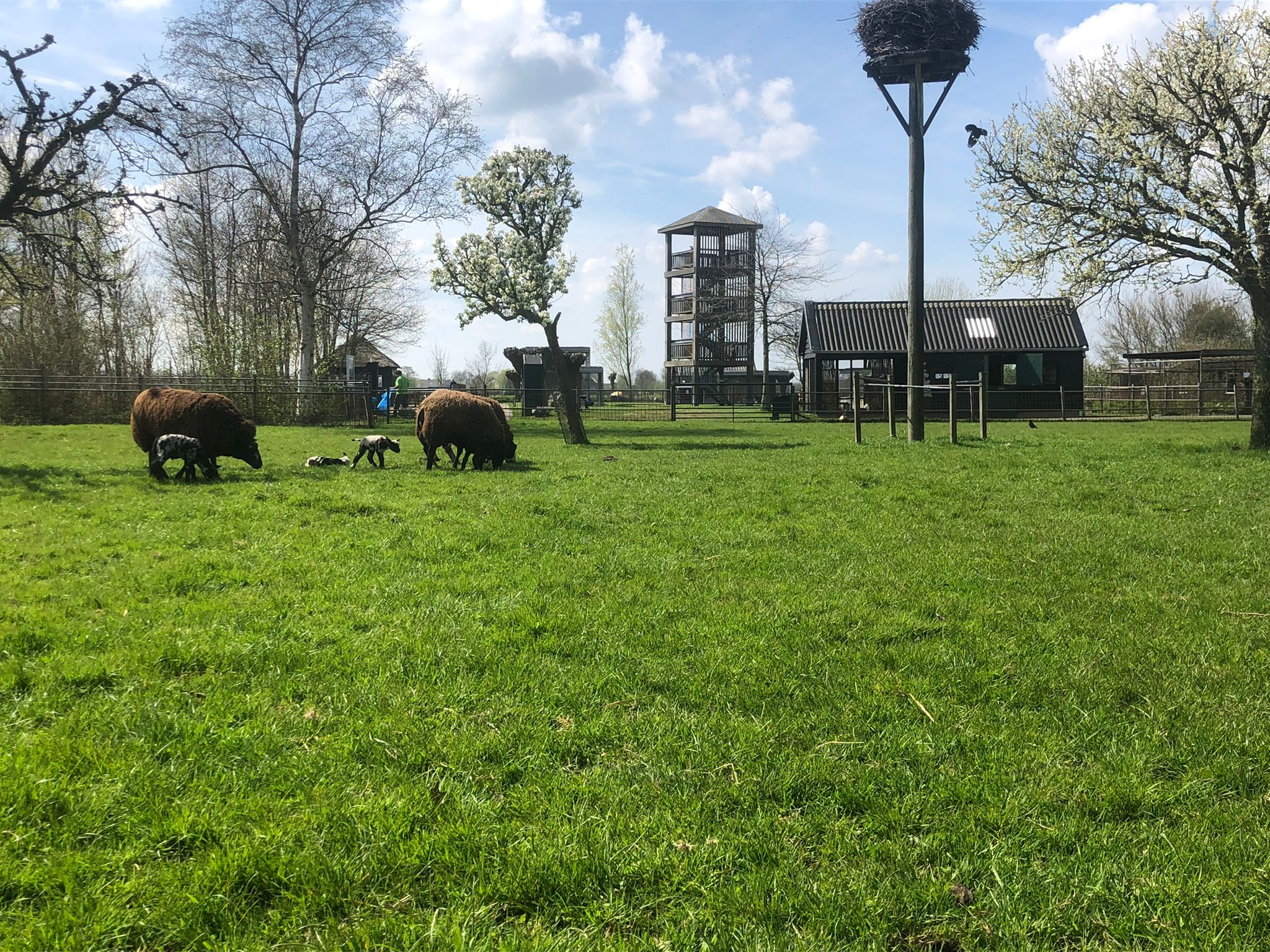 Kinderboerderij Oortjeshoeve